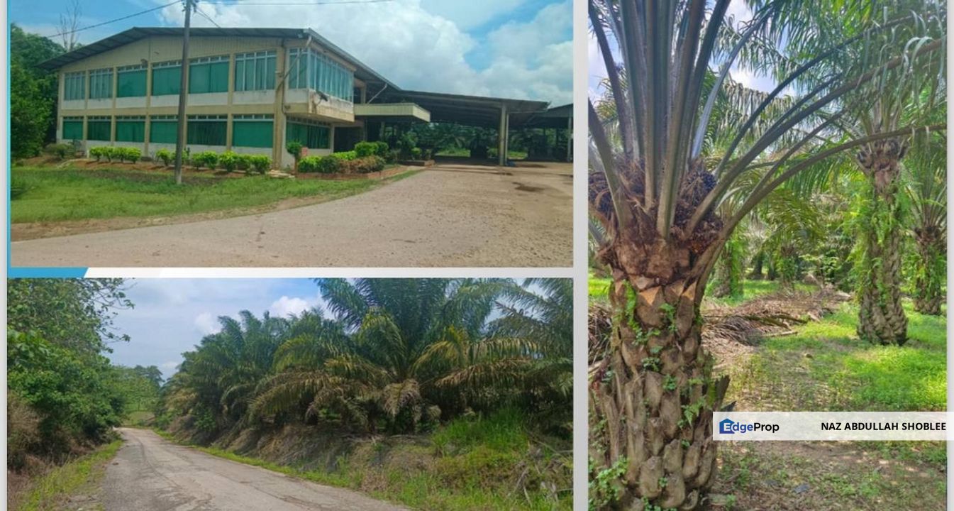 Agriculture Land Yong Peng, Johor For Sale, Johor, Yong Peng