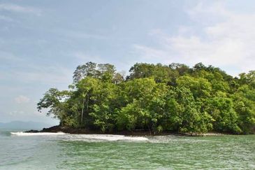 Land Pulau Jemuruk, Langkawi For Sale