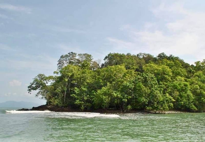 Land Pulau Jemuruk, Langkawi For Sale