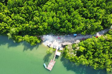 Ecological Tourism Development Land Tanjung Surat, Kota Tinggi For Sale