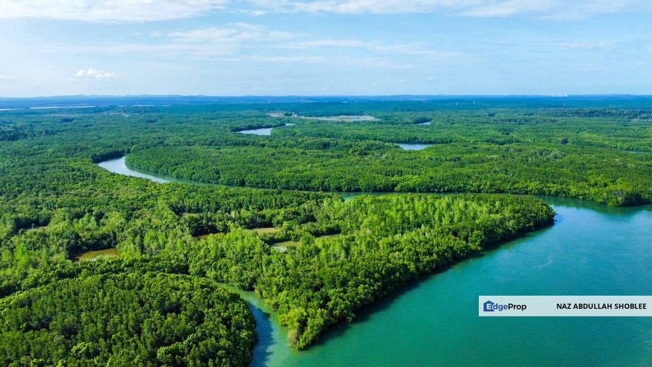 Ecological Tourism Development Land Tanjung Surat, Kota Tinggi For Sale, Johor, Kota Tinggi
