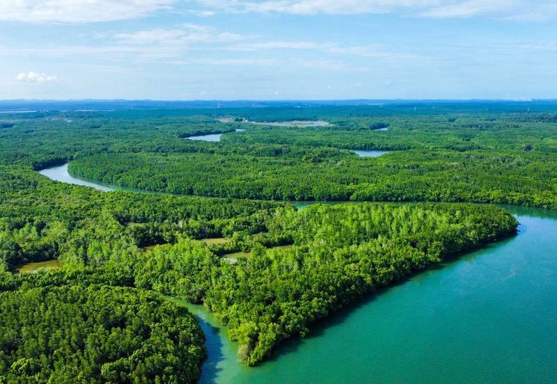 Ecological Tourism Development Land Tanjung Surat, Kota Tinggi For Sale