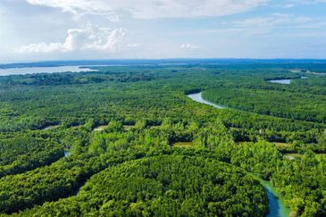 Ecological Tourism Development Land Tanjung Surat, Kota Tinggi For Sale