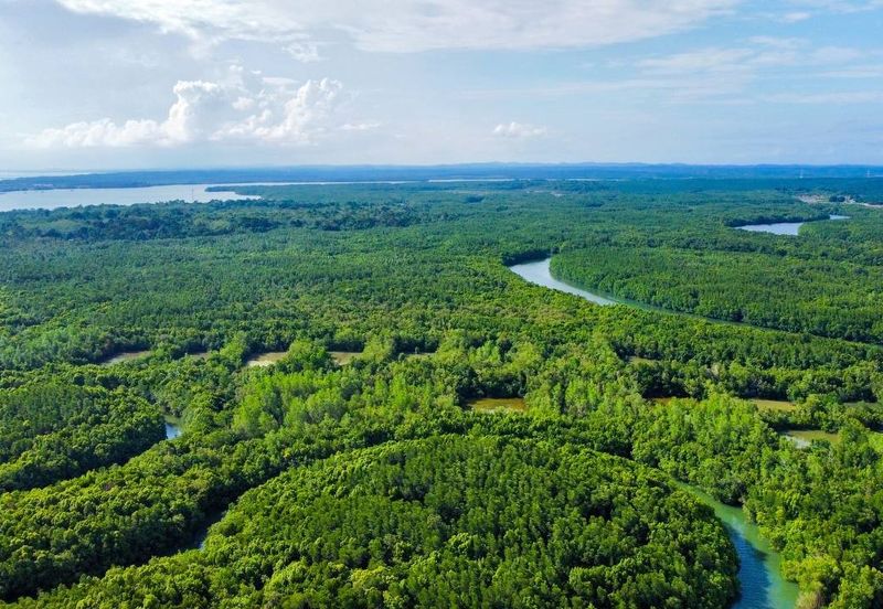 Ecological Tourism Development Land Tanjung Surat, Kota Tinggi For Sale