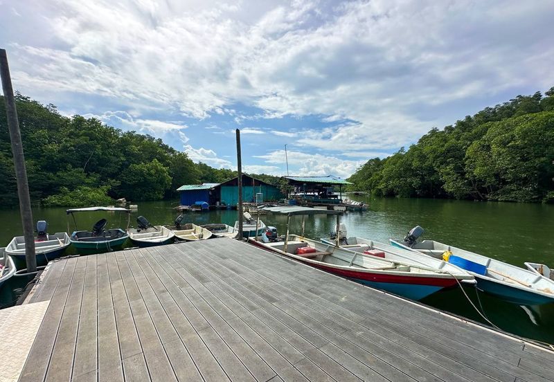 Ecological Tourism Development Land Tanjung Surat, Kota Tinggi For Sale