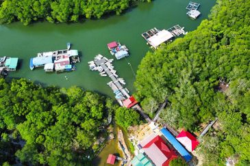 Ecological Tourism Development Land Tanjung Surat, Kota Tinggi For Sale