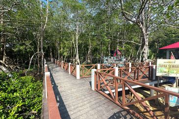 Ecological Tourism Development Land Tanjung Surat, Kota Tinggi For Sale