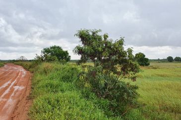 Mixed Development Land Pengerang, Johor For Sale