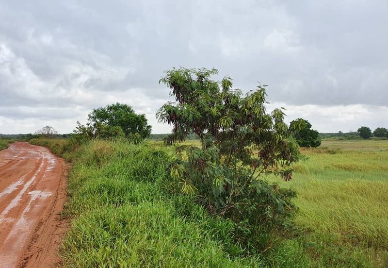 Mixed Development Land Pengerang, Johor For Sale