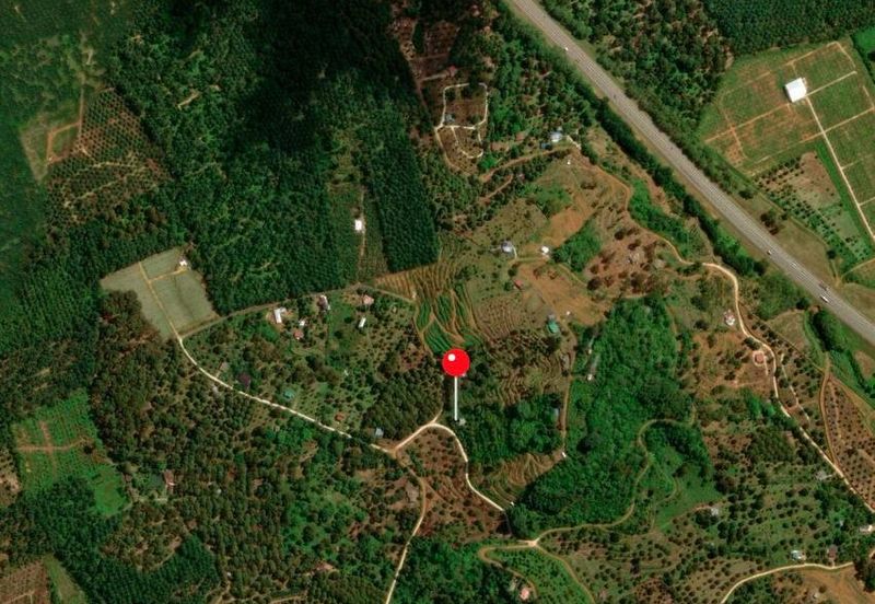 Palm Oil Plantation Pagoh, Johor For Sale