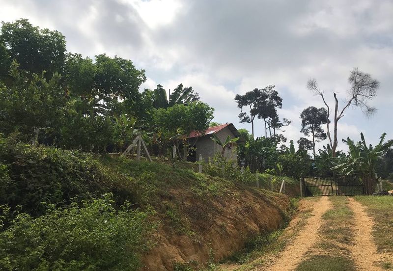 Resort Potential Development Land Bukit Johol, Negeri Sembilan For Sale