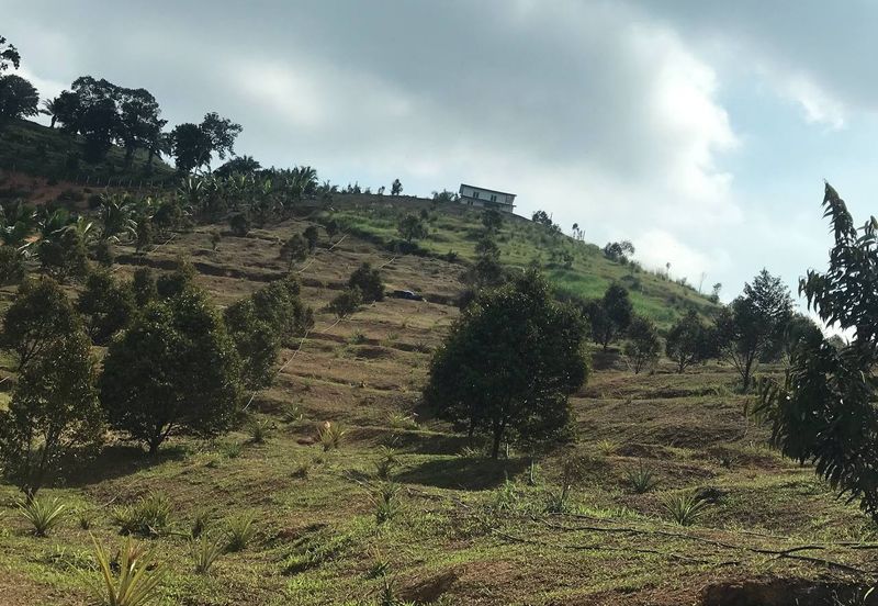 Resort Potential Development Land Bukit Johol, Negeri Sembilan For Sale