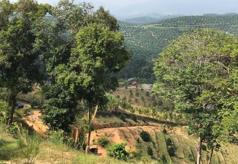 Resort Potential Development Land Bukit Johol, Negeri Sembilan For Sale