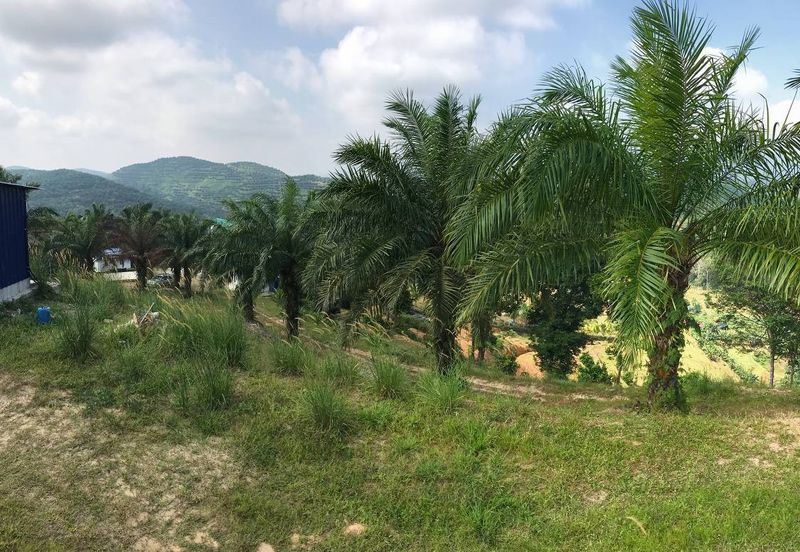 Resort Potential Development Land Bukit Johol, Negeri Sembilan For Sale