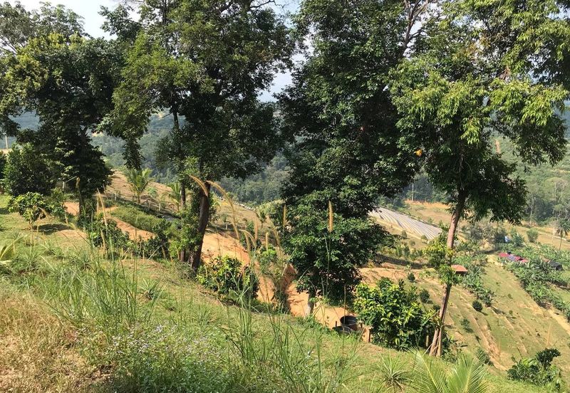 Resort Potential Development Land Bukit Johol, Negeri Sembilan For Sale