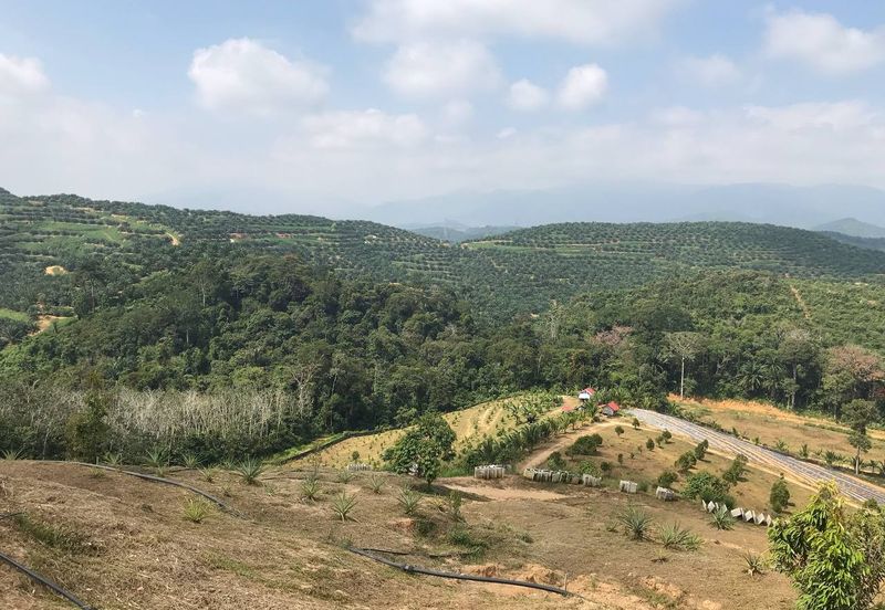 Resort Potential Development Land Bukit Johol, Negeri Sembilan For Sale