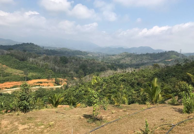 Resort Potential Development Land Bukit Johol, Negeri Sembilan For Sale