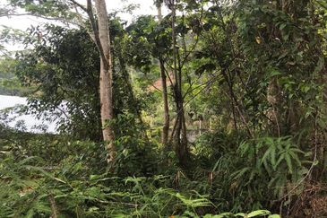 [NEAR UIAM] Agriculture Land Sungai Pusu, Gombak For Sale