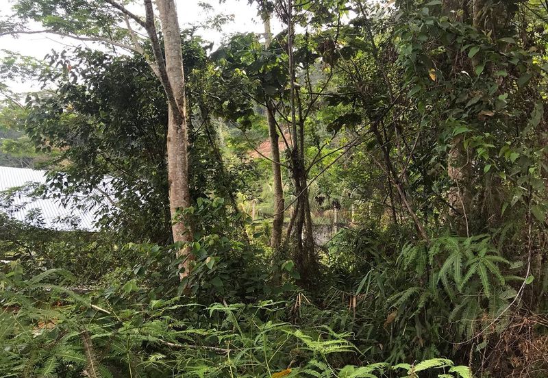 [NEAR UIAM] Agriculture Land Sungai Pusu, Gombak For Sale