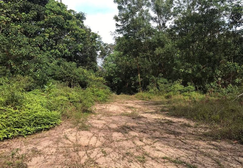 [NEAR UIAM] Agriculture Land Sungai Pusu, Gombak For Sale