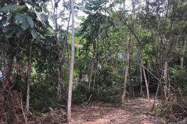 [NEAR UIAM] Agriculture Land Sungai Pusu, Gombak For Sale