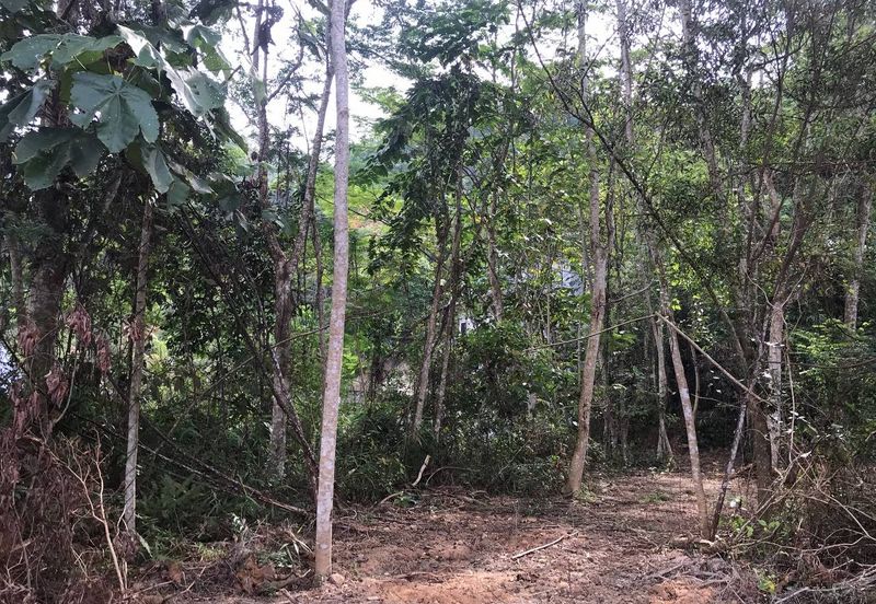 [NEAR UIAM] Agriculture Land Sungai Pusu, Gombak For Sale