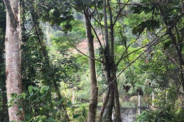 [NEAR UIAM] Agriculture Land Sungai Pusu, Gombak For Sale