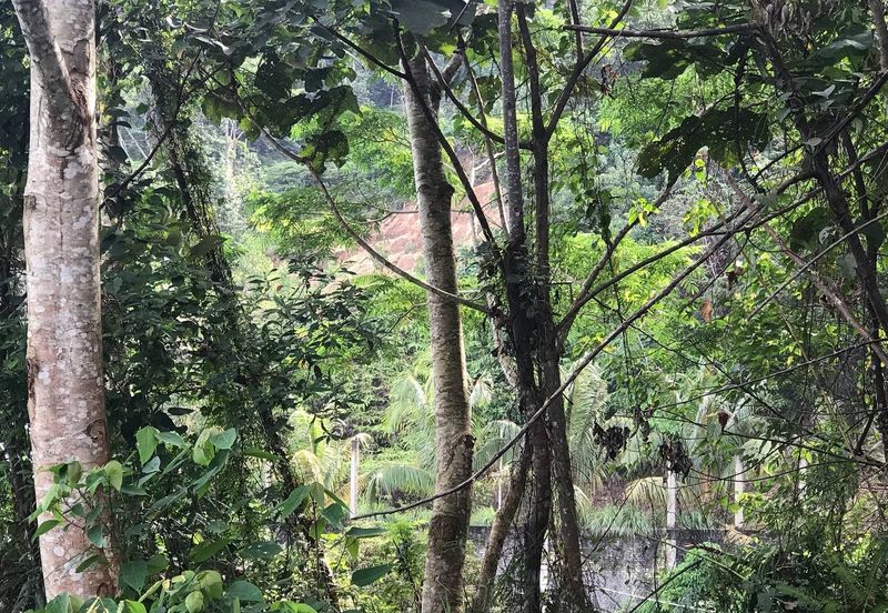 [NEAR UIAM] Agriculture Land Sungai Pusu, Gombak For Sale