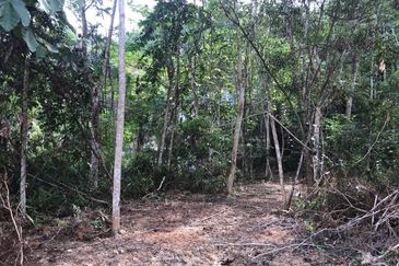 [NEAR UIAM] Agriculture Land Sungai Pusu, Gombak For Sale