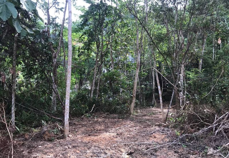 [NEAR UIAM] Agriculture Land Sungai Pusu, Gombak For Sale