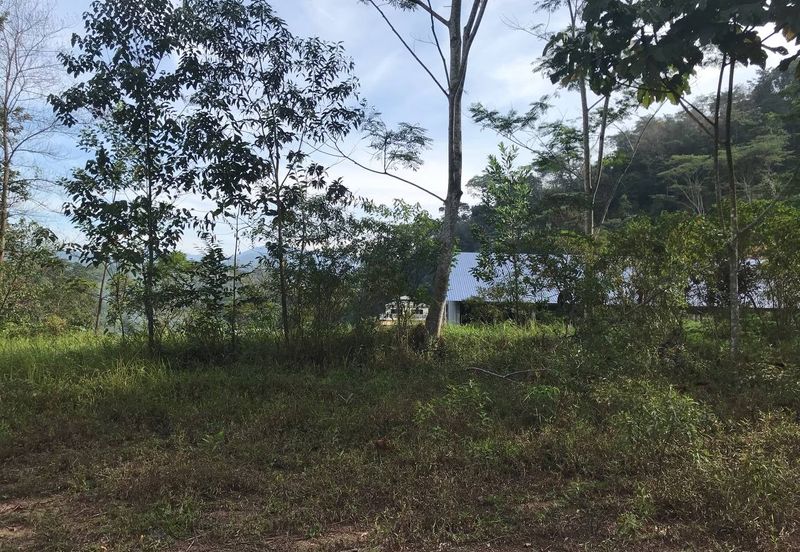 [NEAR UIAM] Agriculture Land Sungai Pusu, Gombak For Sale