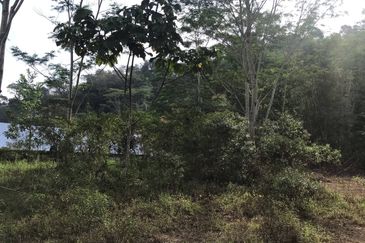 [NEAR UIAM] Agriculture Land Sungai Pusu, Gombak For Sale