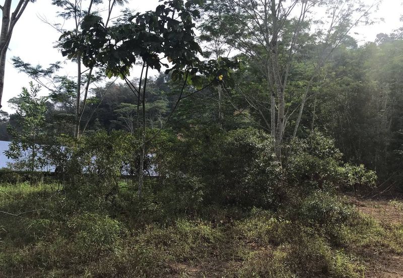 [NEAR UIAM] Agriculture Land Sungai Pusu, Gombak For Sale