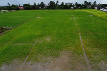 [1st GRADE LAND] [FRONTING MAIN ROAD] Residential Potential Development Land Permatang Buloh, Kepala Batas For Sale