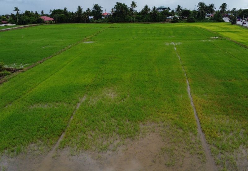 [1st GRADE LAND] [FRONTING MAIN ROAD] Residential Potential Development Land Permatang Buloh, Kepala Batas For Sale