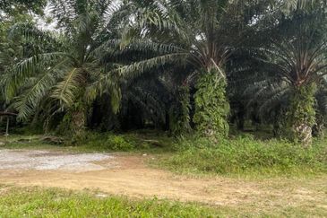[FRONTING MAIN ROAD] Residential Potential Development Land Taboh Naning, Alor Gajah For Sale