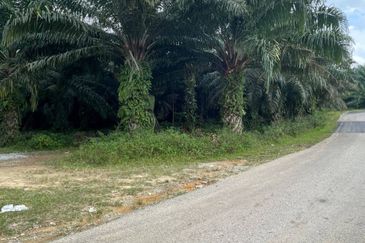 [FRONTING MAIN ROAD] Residential Potential Development Land Taboh Naning, Alor Gajah For Sale