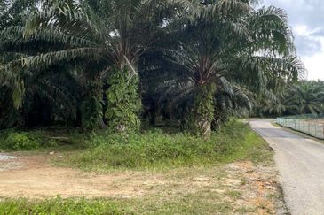 [FRONTING MAIN ROAD] Residential Potential Development Land Taboh Naning, Alor Gajah For Sale