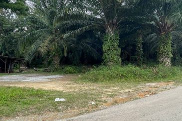 [FRONTING MAIN ROAD] Residential Potential Development Land Taboh Naning, Alor Gajah For Sale