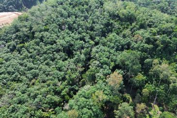 [KM Ready] Resort @ Orchard Potential Land Jalan Pantai, Seremban For Sale