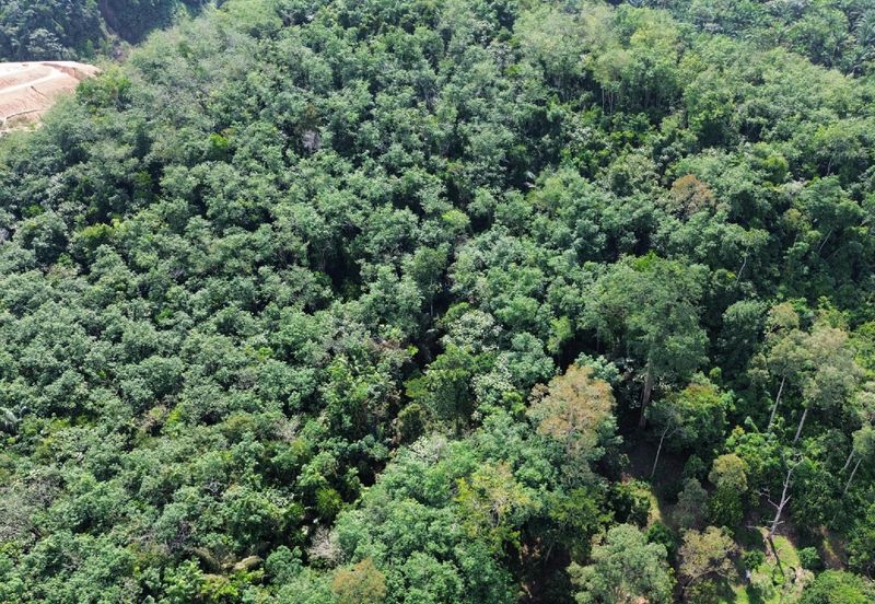 [KM Ready] Resort @ Orchard Potential Land Jalan Pantai, Seremban For Sale