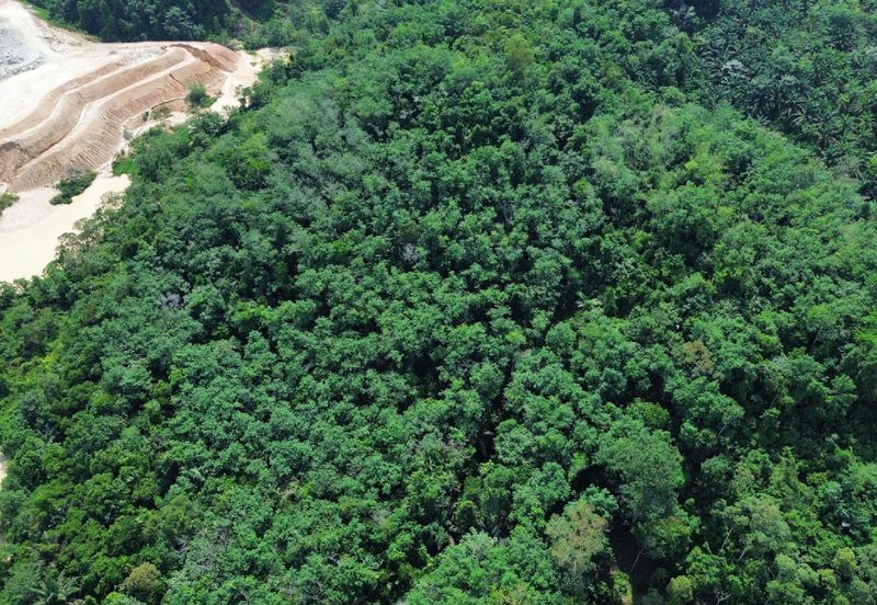 [KM Ready] Resort @ Orchard Potential Land Jalan Pantai, Seremban For Sale