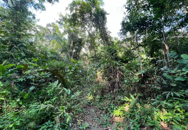 [KM Ready] Resort @ Orchard Potential Land Jalan Pantai, Seremban For Sale