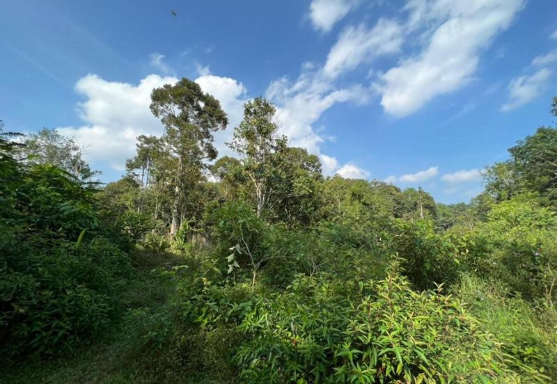 [KM Ready] Resort @ Orchard Potential Land Jalan Pantai, Seremban For Sale