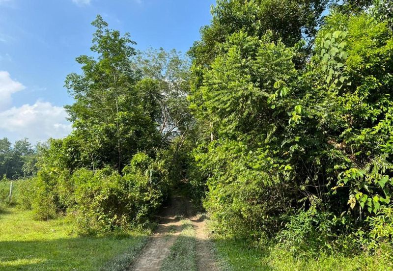 [KM Ready] Resort @ Orchard Potential Land Jalan Pantai, Seremban For Sale