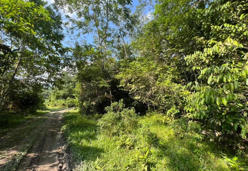 [KM Ready] Resort @ Orchard Potential Land Jalan Pantai, Seremban For Sale