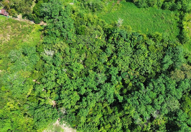 [KM Ready] Resort @ Orchard Potential Land Jalan Pantai, Seremban For Sale