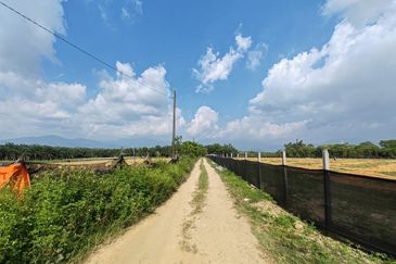 [FLAT LAND] Agriculture Land Batang Kali, Selangor For Sale