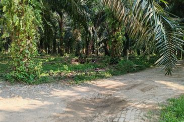 [FLAT LAND] Agriculture Land Batang Kali, Selangor For Sale