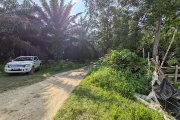 [FLAT LAND] Agriculture Land Batang Kali, Selangor For Sale